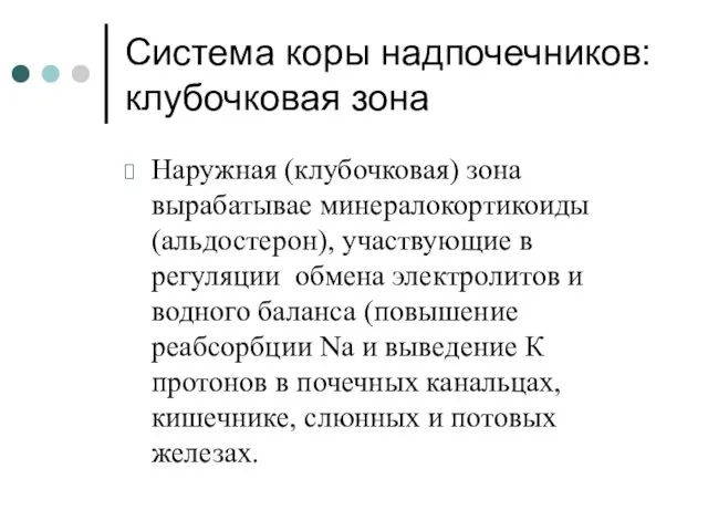 Система коры надпочечников: клубочковая зона Наружная (клубочковая) зона вырабатывае минералокортикоиды (альдостерон),