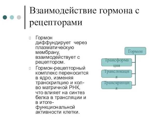 Взаимодействие гормона с рецепторами Гормон диффундирует через плазматическую мембрану, взаимодействует с