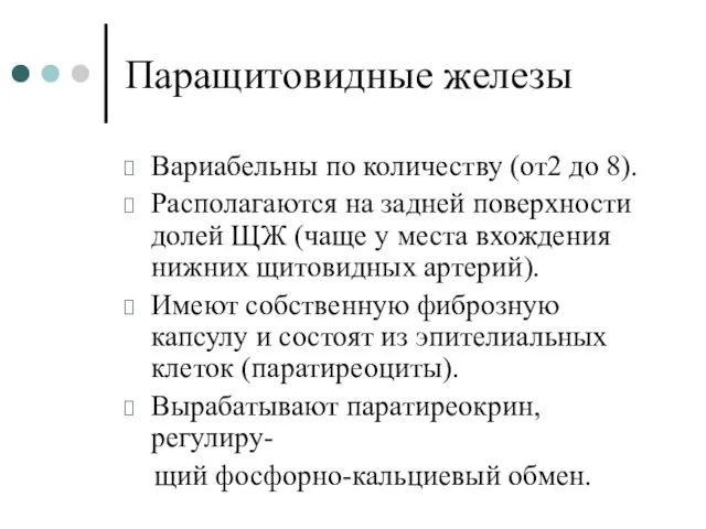 Паращитовидные железы Вариабельны по количеству (от2 до 8). Располагаются на задней