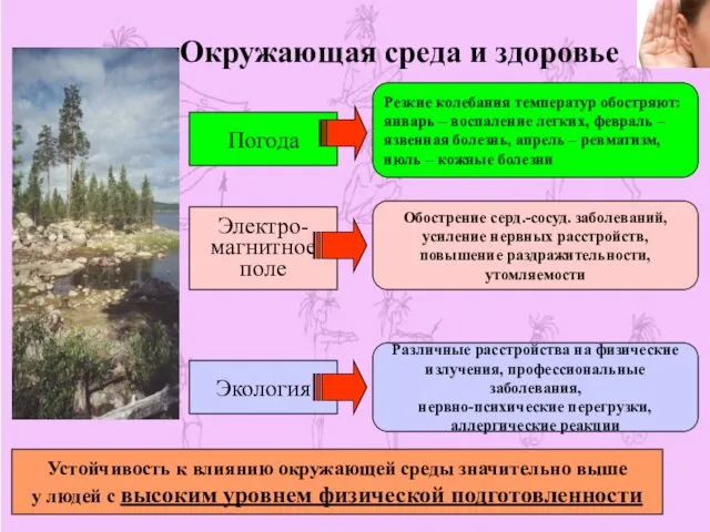 Окружающая среда и здоровье Погода Электро- магнитное поле Экология Резкие колебания