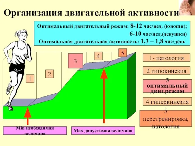 Организация двигательной активности 1 2 3 4 5 Min необходимая величина