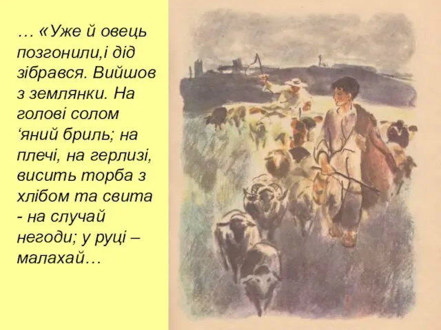 … «Уже й овець позгонили,і дід зібрався. Вийшов з землянки. На