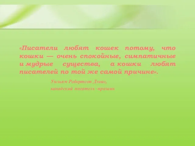 «Писатели любят кошек потому, что кошки — очень спокойные, симпатичные и