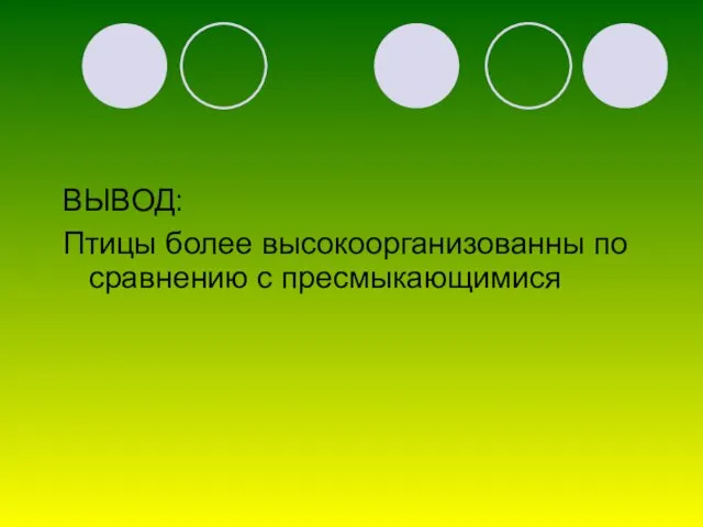 ВЫВОД: Птицы более высокоорганизованны по сравнению с пресмыкающимися