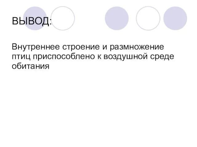 ВЫВОД: Внутреннее строение и размножение птиц приспособлено к воздушной среде обитания