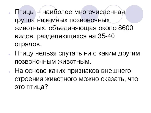 Птицы – наиболее многочисленная группа наземных позвоночных животных, объединяющая около 8600