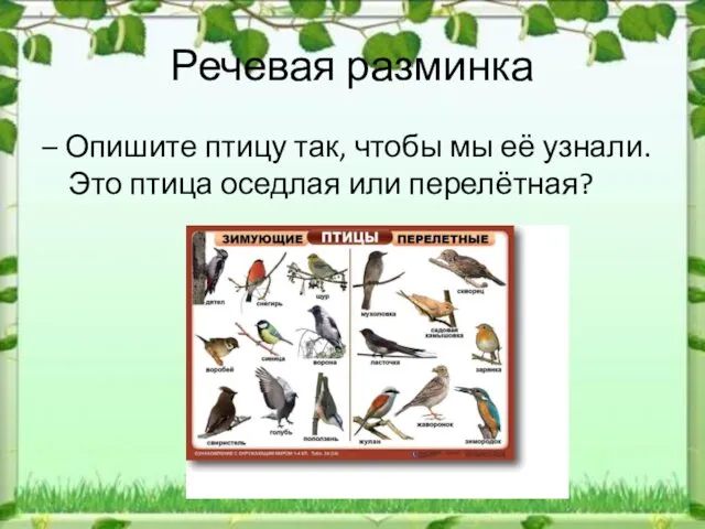 Речевая разминка – Опишите птицу так, чтобы мы её узнали. Это птица оседлая или перелётная?