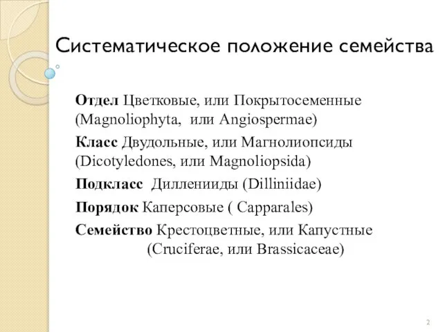 Систематическое положение семейства Отдел Цветковые, или Покрытосеменные (Magnoliophyta, или Angiospermae) Класс