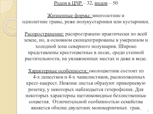 Родов в ЦЧР – 32, видов – 50 Жизненные формы: многолетние