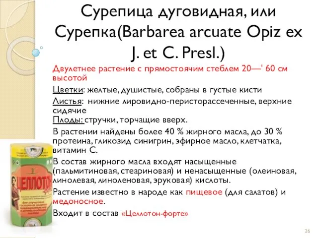 Сурепица дуговидная, или Сурепка(Barbarea arcuate Opiz ex J. et C. Presl.)