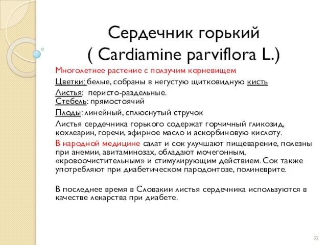 Сердечник горький ( Cardiamine parviflora L.) Многолетнее растение с ползучим корневищем