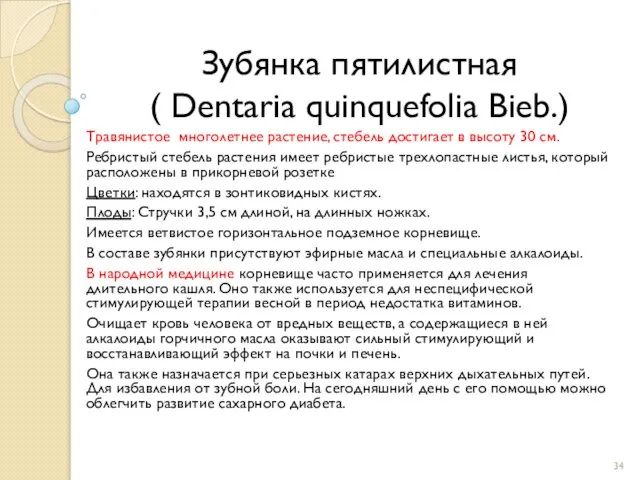 Зубянка пятилистная ( Dentaria quinquefolia Bieb.) Травянистое многолетнее растение, стебель достигает