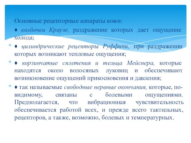 Основные рецепторные аппараты кожи: ♦ колбочки Краузе, раздражение которых дает ощущение