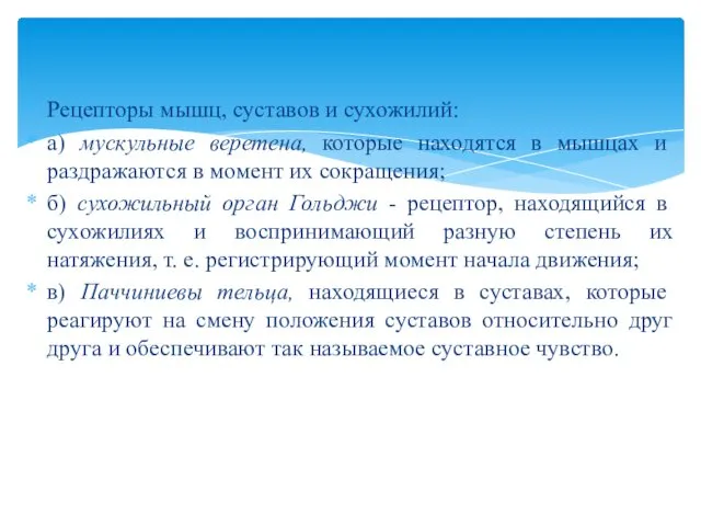 Рецепторы мышц, суставов и сухожилий: а) мускульные веретена, которые находятся в