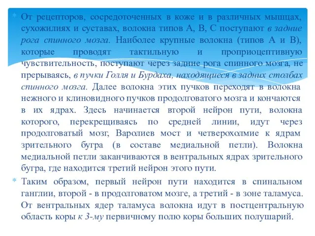 От рецепторов, сосредоточенных в коже и в различных мышцах, сухожилиях и