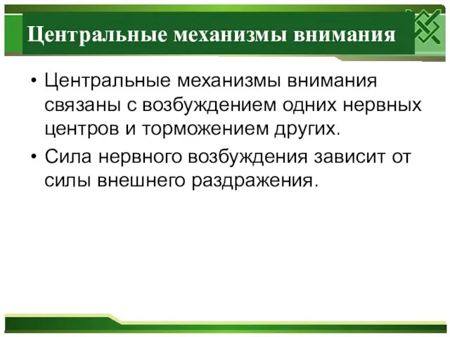 Центральные механизмы внимания Центральные механизмы внимания связаны с возбуждением одних нервных