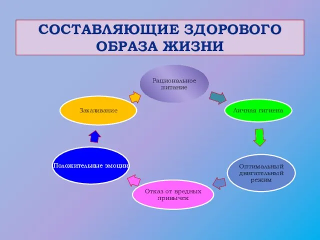 СОСТАВЛЯЮЩИЕ ЗДОРОВОГО ОБРАЗА ЖИЗНИ