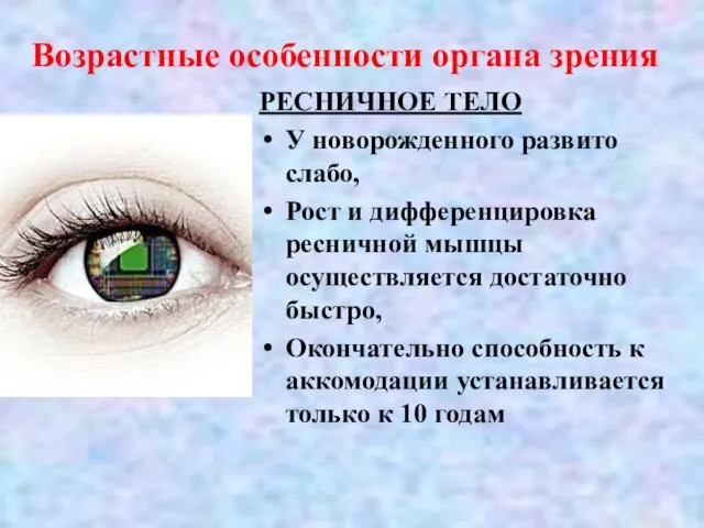 Возрастные особенности органа зрения РЕСНИЧНОЕ ТЕЛО У новорожденного развито слабо, Рост