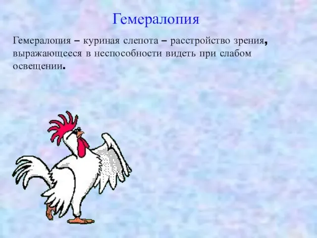 Гемералопия – куриная слепота – расстройство зрения, выражающееся в неспособности видеть при слабом освещении. Гемералопия