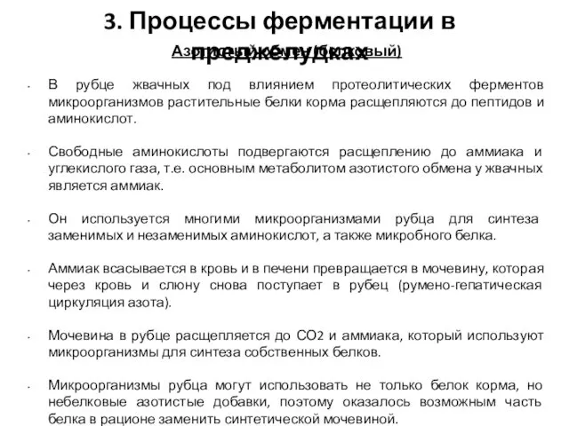 3. Процессы ферментации в преджелудках Азотистый обмен (белковый) В рубце жвачных