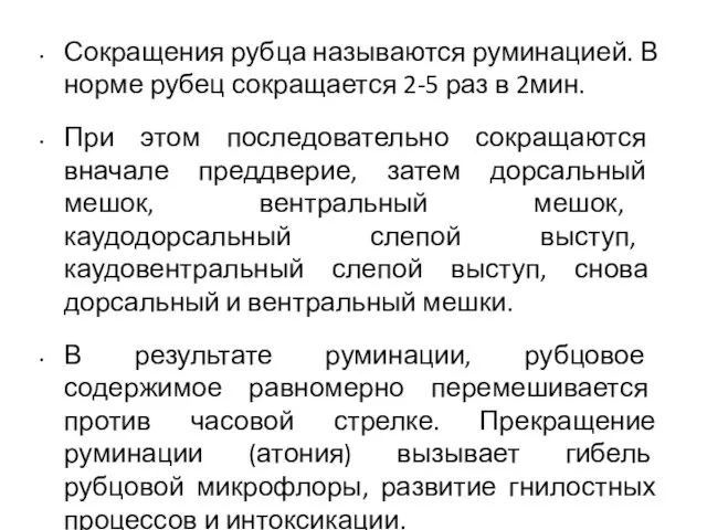 Сокращения рубца называются руминацией. В норме рубец сокращается 2-5 раз в