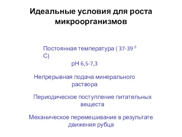 Идеальные условия для роста микроорганизмов рН 6,5-7,3 Постоянная температура ( 37-39