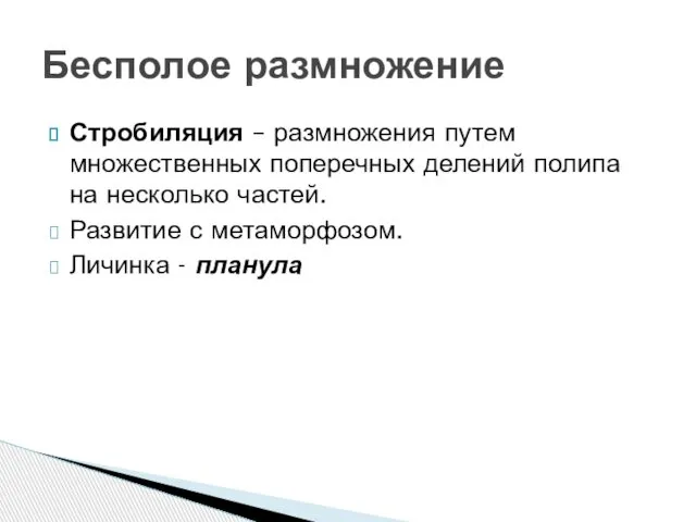 Стробиляция – размножения путем множественных поперечных делений полипа на несколько частей.