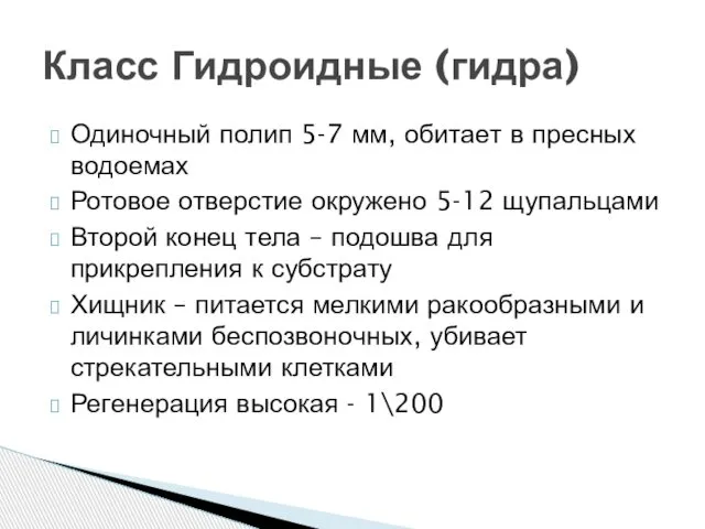 Одиночный полип 5-7 мм, обитает в пресных водоемах Ротовое отверстие окружено