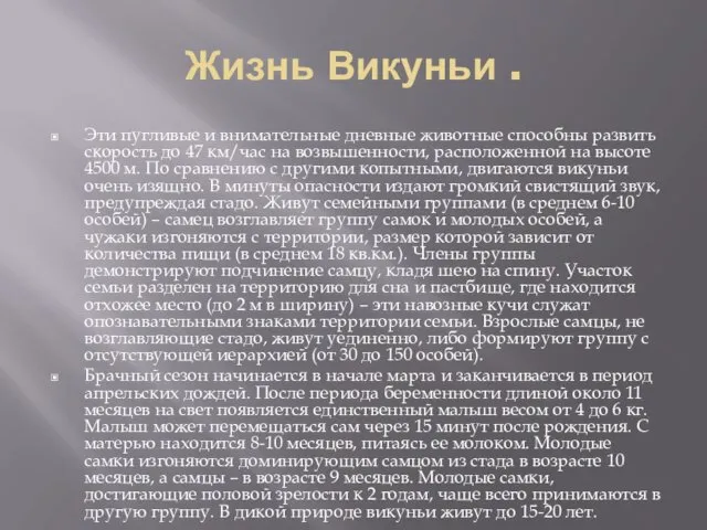 Жизнь Викуньи . Эти пугливые и внимательные дневные животные способны развить