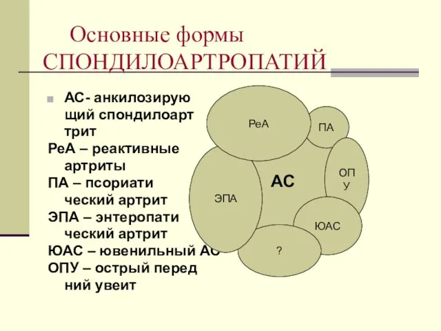 Основные формы СПОНДИЛОАРТРОПАТИЙ АС- анкилозирую щий спондилоарт трит РеА – реактивные