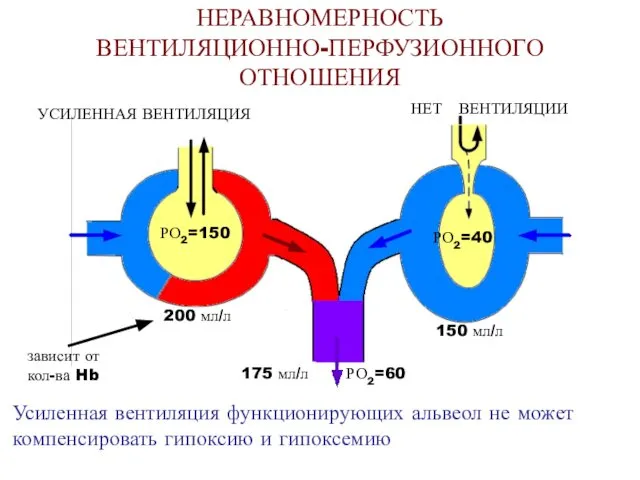 НЕРАВНОМЕРНОСТЬ ВЕНТИЛЯЦИОННО-ПЕРФУЗИОННОГО ОТНОШЕНИЯ Усиленная вентиляция функционирующих альвеол не может компенсировать гипоксию