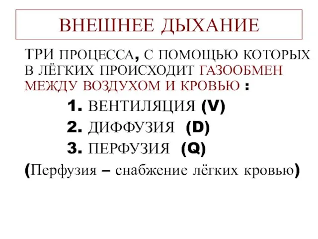 ВНЕШНЕЕ ДЫХАНИЕ ТРИ ПРОЦЕССА, С ПОМОЩЬЮ КОТОРЫХ В ЛЁГКИХ ПРОИСХОДИТ ГАЗООБМЕН