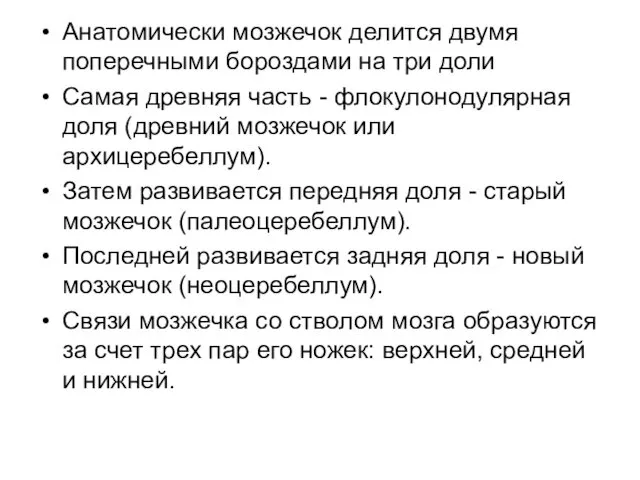 Анатомически мозжечок делится двумя поперечными бороздами на три доли Самая древняя