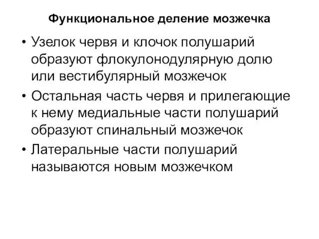 Функциональное деление мозжечка Узелок червя и клочок полушарий образуют флокулонодулярную долю