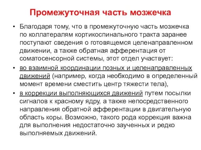 Промежуточная часть мозжечка Благодаря тому, что в промежуточную часть мозжечка по