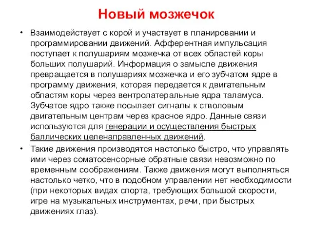 Новый мозжечок Взаимодействует с корой и участвует в планировании и программировании