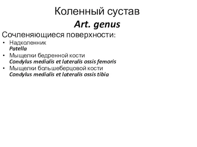 Коленный сустав Art. genus Сочленяющиеся поверхности: Надколенник Patella Мыщелки бедренной кости