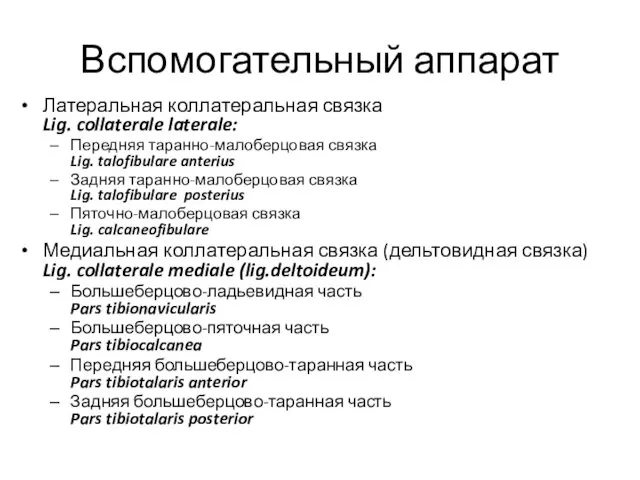 Вспомогательный аппарат Латеральная коллатеральная связка Lig. collaterale laterale: Передняя таранно-малоберцовая связка