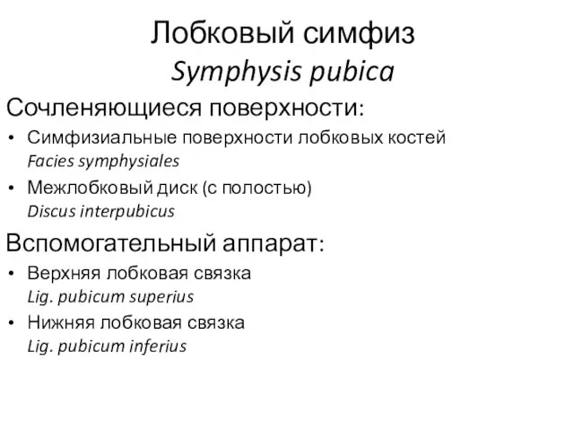 Лобковый симфиз Symphysis pubica Сочленяющиеся поверхности: Симфизиальные поверхности лобковых костей Facies