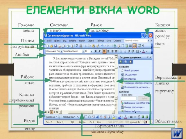 ЕЛЕМЕНТИ ВІКНА WORD Рядок стану Горизонтальна лінійка перегляду Рабоче поле Головне