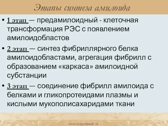 Этапы синтеза амилоида 1 этап — предамилоидный - клеточная трансформация РЭС