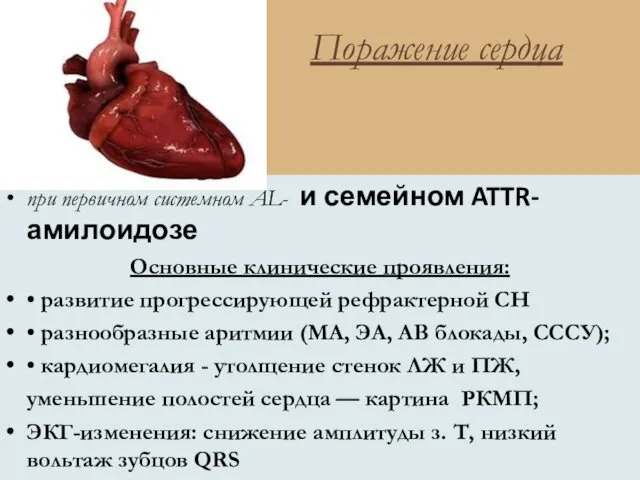 Поражение сердца при первичном системном AL- и семейном ATTR-амилоидозе Основные клинические