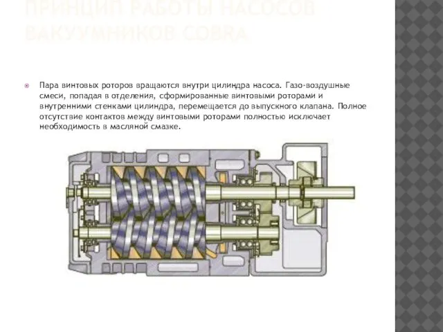 ПРИНЦИП РАБОТЫ НАСОСОВ ВАКУУМНИКОВ COBRA Пара винтовых роторов вращаются внутри цилиндра
