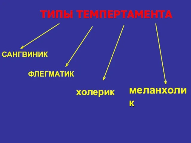 ТИПЫ ТЕМПЕРТАМЕНТА меланхолик САНГВИНИК ФЛЕГМАТИК холерик