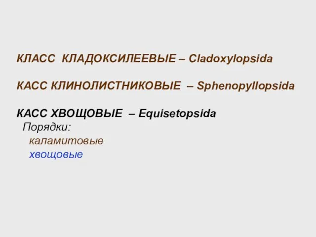 КЛАСС КЛАДОКСИЛЕЕВЫЕ – Cladoxylopsida КАСС КЛИНОЛИСТНИКОВЫЕ – Sphenopyllopsida КАСС ХВОЩОВЫЕ – Equisetopsida Порядки: каламитовые хвощовые