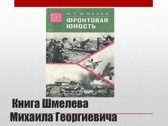 Книга Шмелева Михаила Георгиевича