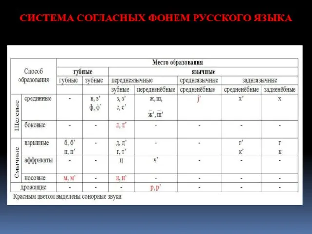 СИСТЕМА СОГЛАСНЫХ ФОНЕМ РУССКОГО ЯЗЫКА