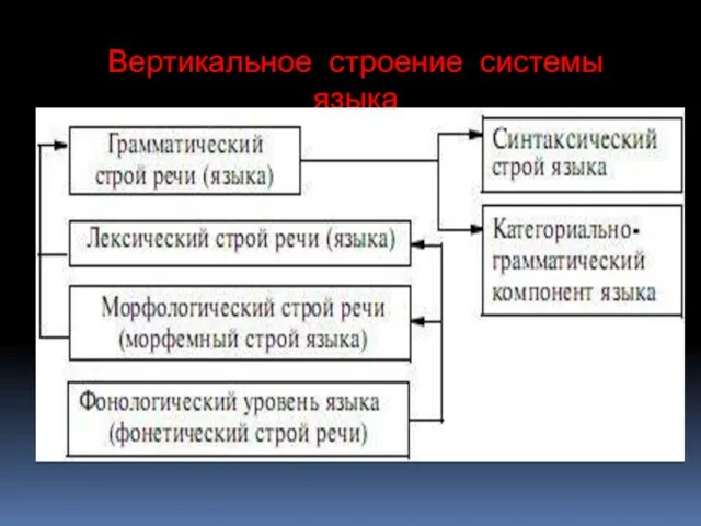 Вертикальное строение системы языка