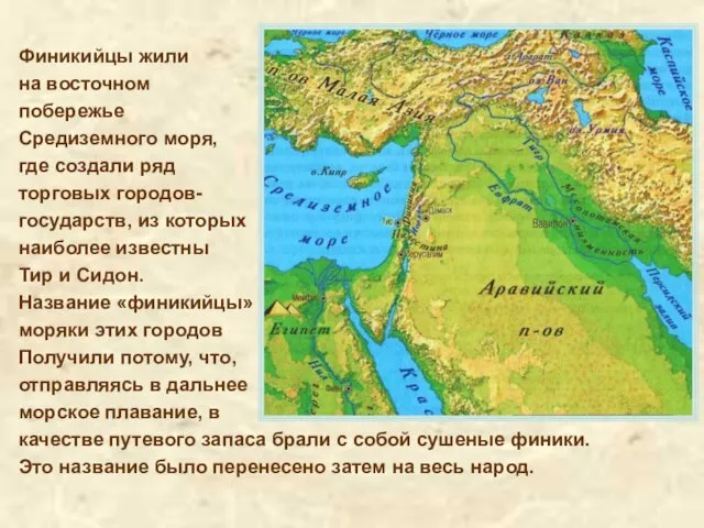 Финикийцы жили на восточном побережье Средиземного моря, где создали ряд торговых