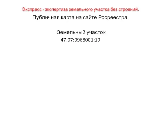 Экспресс - экспертиза земельного участка без строений. Публичная карта на сайте Росреестра. Земельный участок 47:07:0968001:19